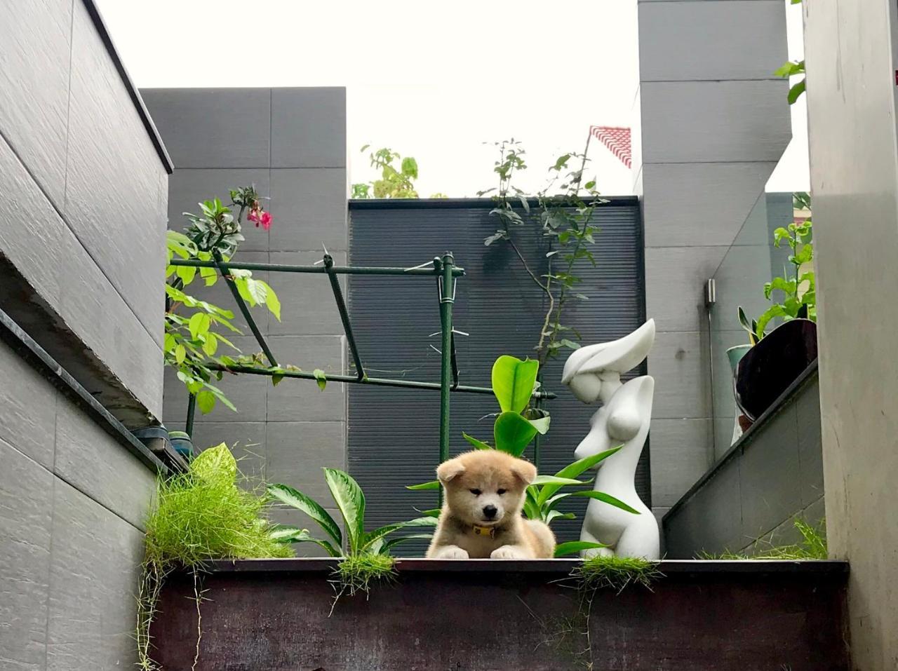 グリーンウッド ヴィラ サイゴンホーチミン市 エクステリア 写真